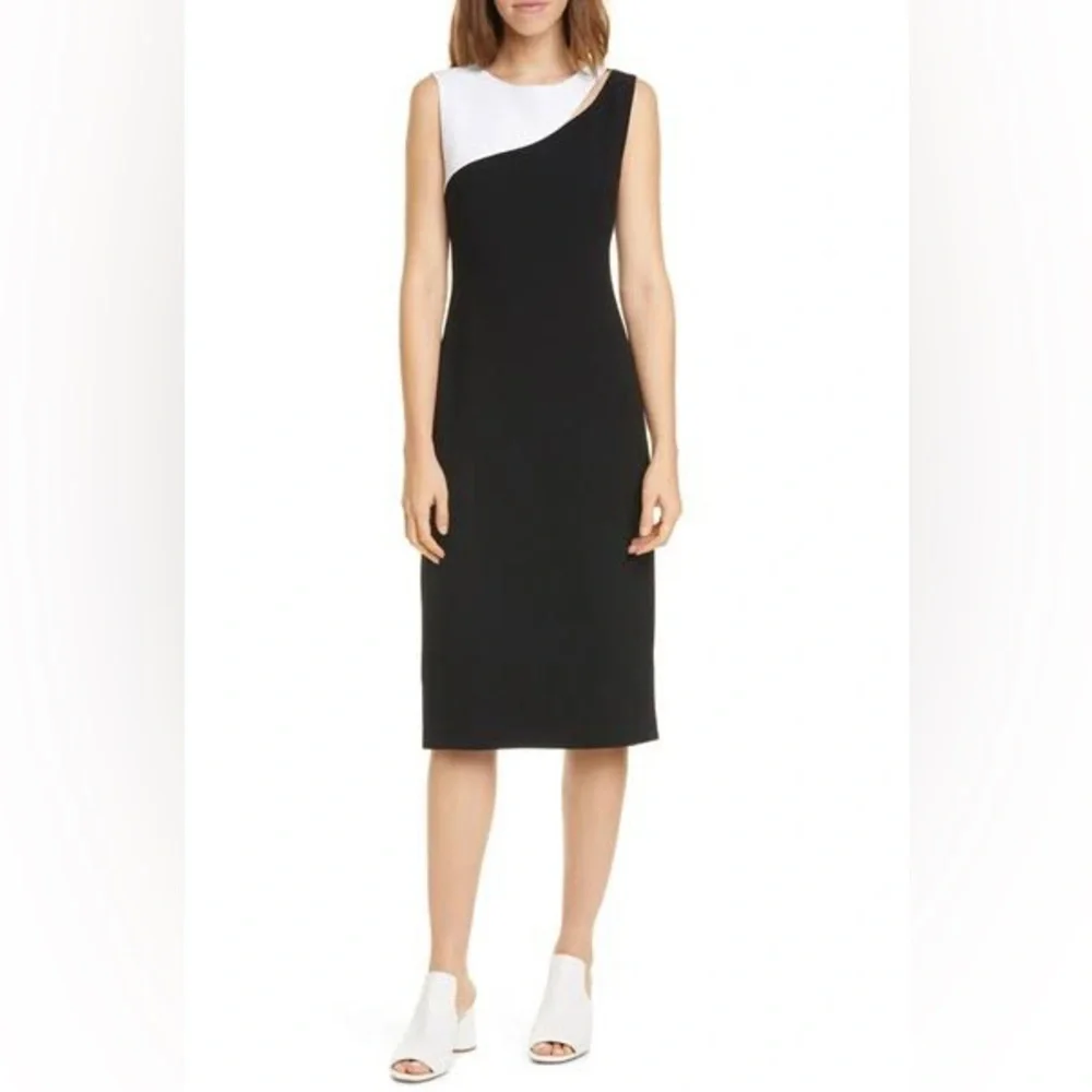 NWT Judith & Charles Black and White beautiful Sleeveless Massena two tone Dress